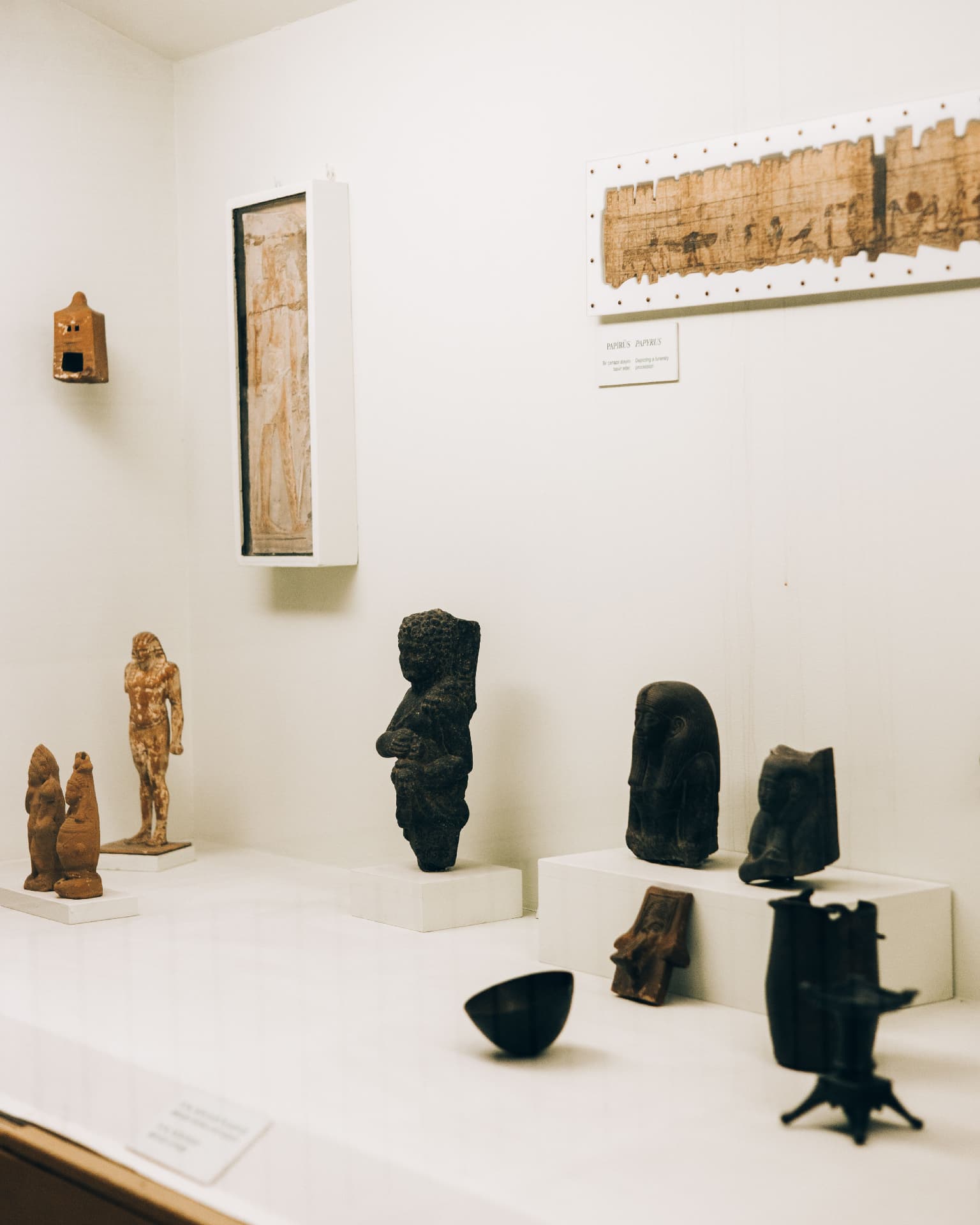 Buchanan & Co. exhibition installation